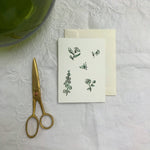 Pen and Ink - Floral