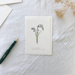British Bluebell Botanical Illustration Spring Card