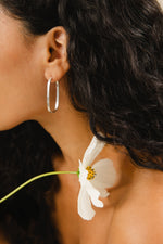 JUNIPER • Oval hoops