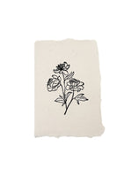 Peony stems note card