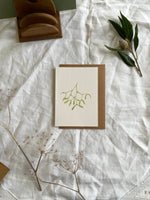 Botanical Illustration Mistletoe Christmas Card