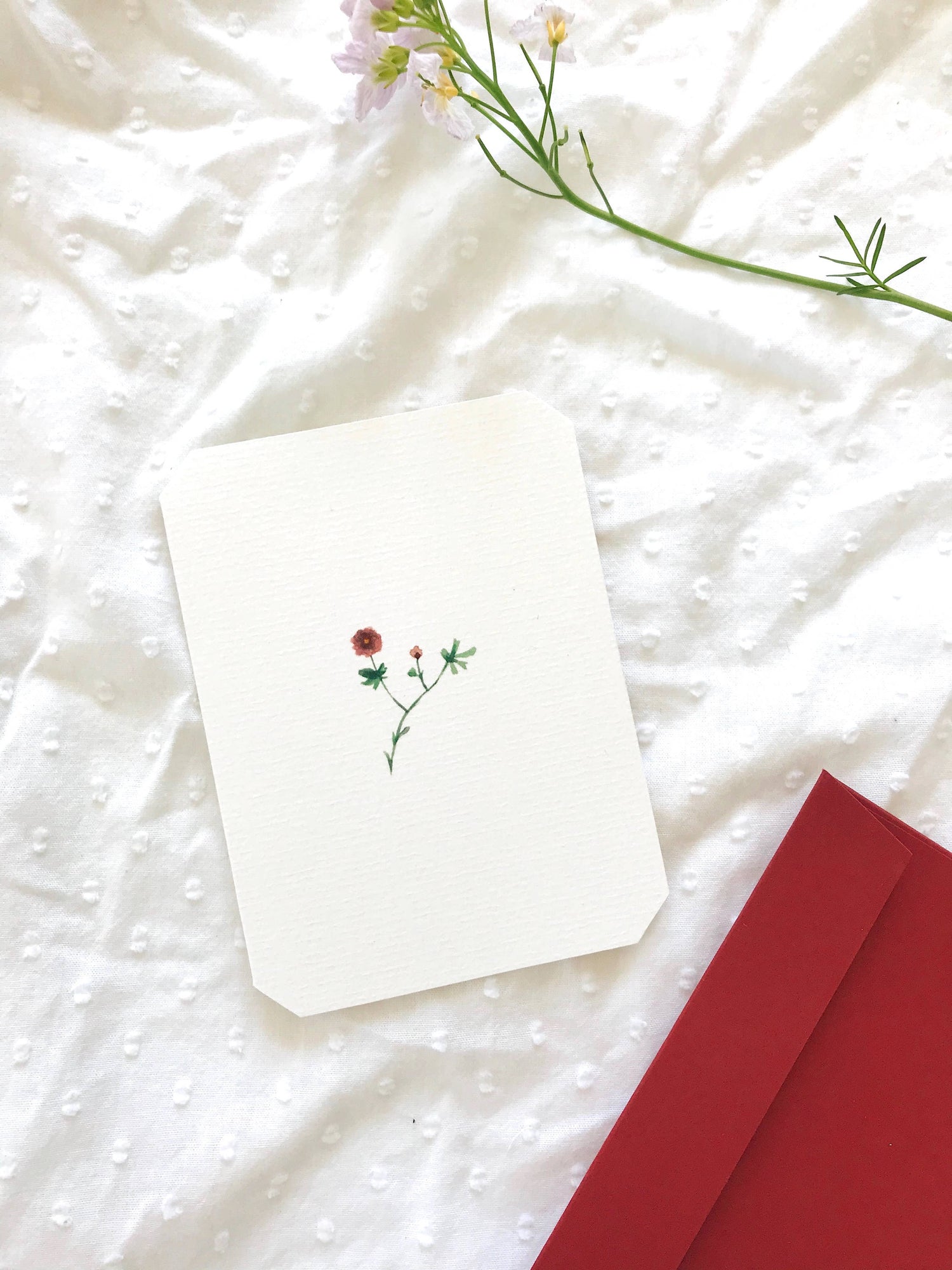 Flora Collection - Peony Petit Card