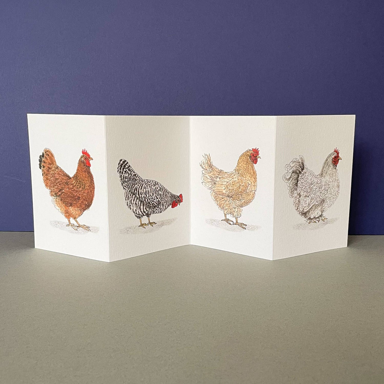 Chicken/Hen Concertina Card