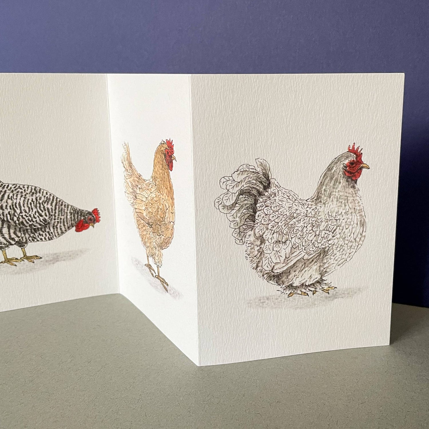 Chicken/Hen Concertina Card