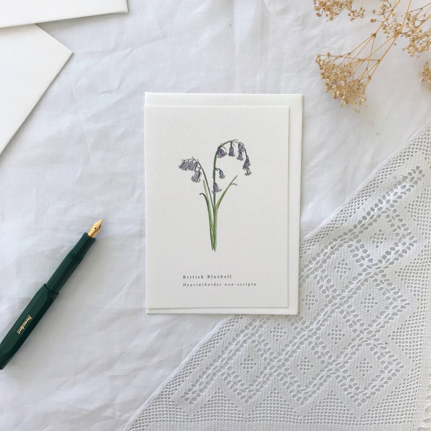 British Bluebell Botanical Illustration Spring Card