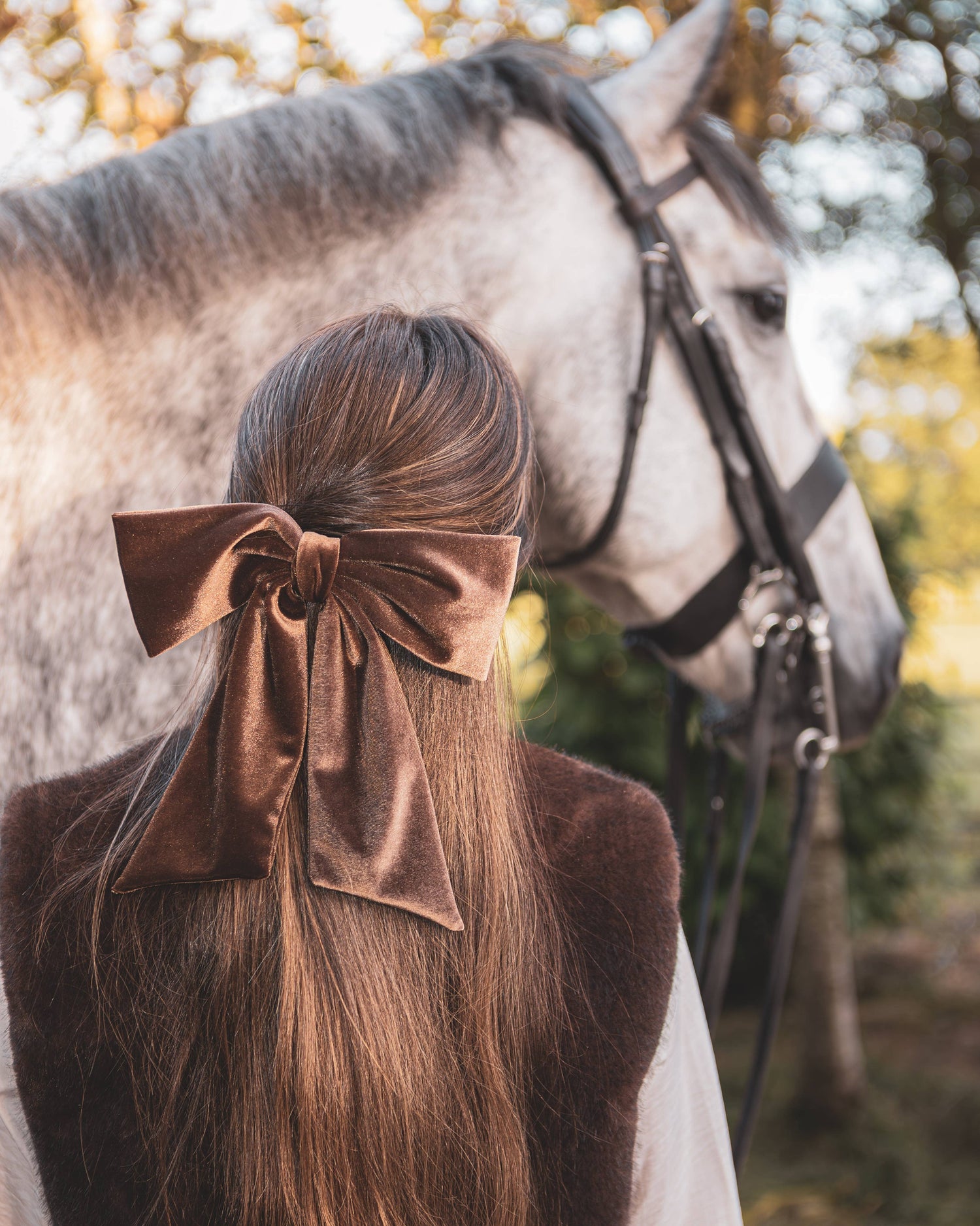 Bury Velvet Large Bow Hair Clip | Bear Brown
