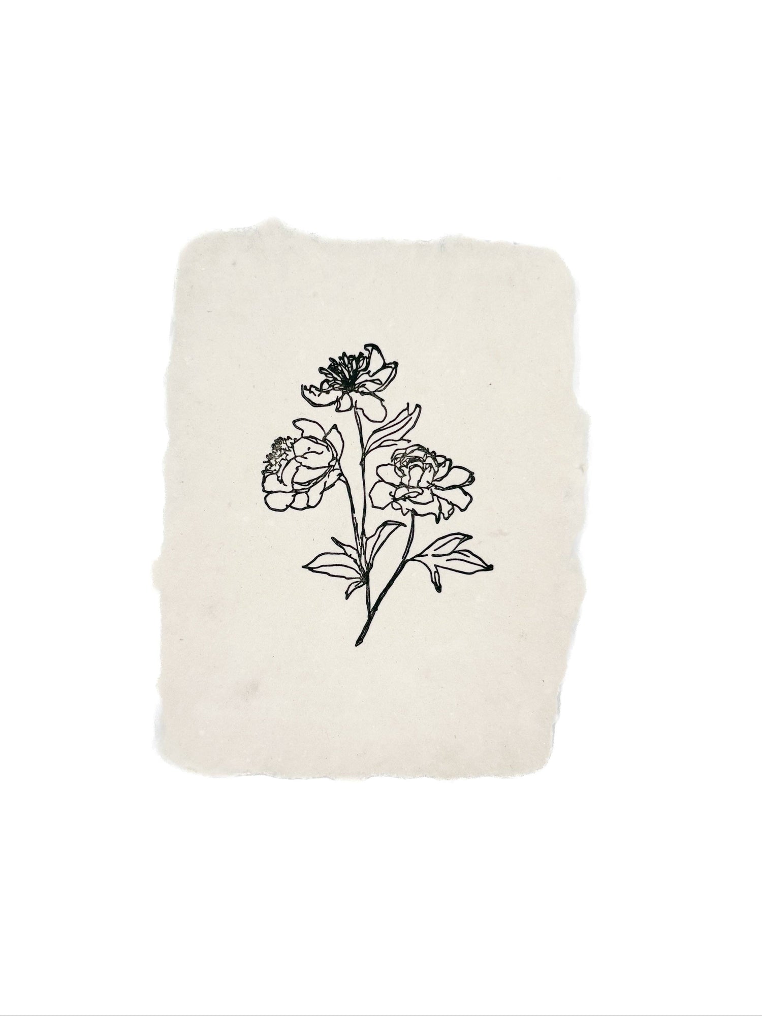 Peony stems note card